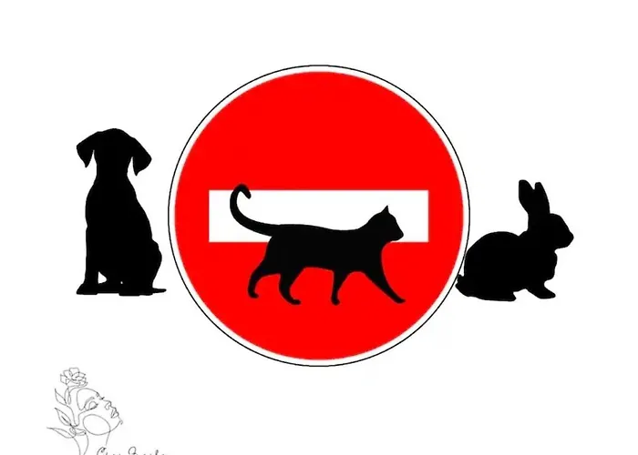 Apartamento L'envolee Sur Cour, T2 Angers